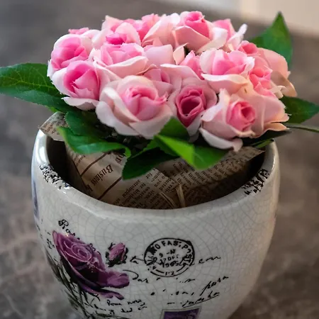 North Spacious For 6 Guests شقة